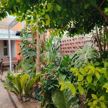 El Chirris B&B San Juan La Laguna Eksteriør billede